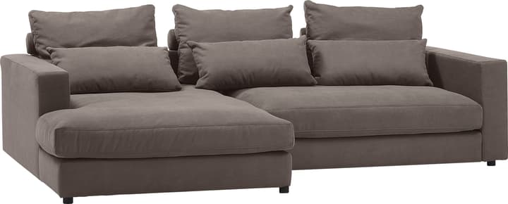 Ecksofa DARWIN