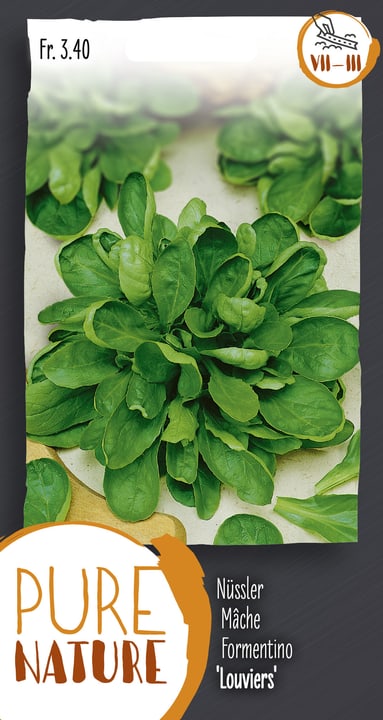 Image of Nüssler 'Louviers' Feldsalat 1Saatband Gemüsesamen bei Do it + Garden von Migros