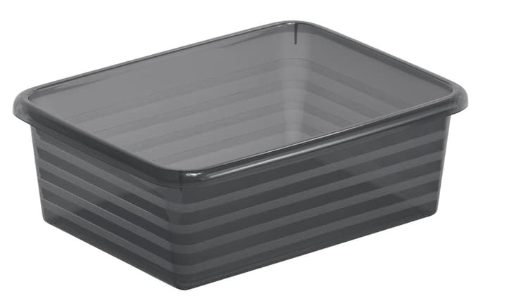 Image of Rotho Formatkörbchen A6 Linus Korb bei Do it + Garden von Migros