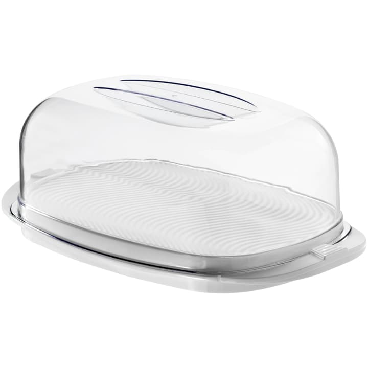 Image of Rotho FRESH Käseglocke bei Do it + Garden von Migros