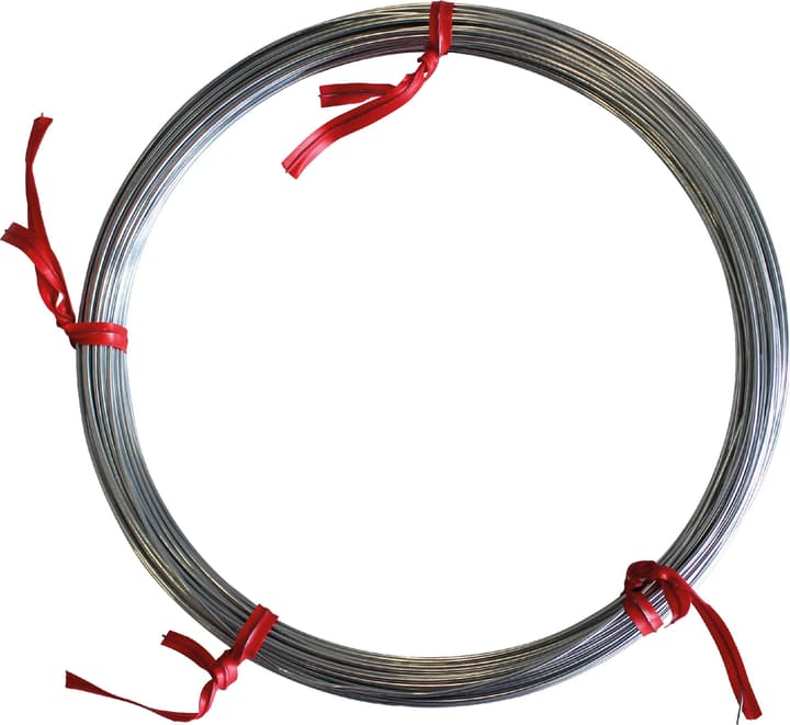 Image of Eisendraht, Länge 20 m / ø 0.8 mm Gartendraht bei Do it + Garden von Migros