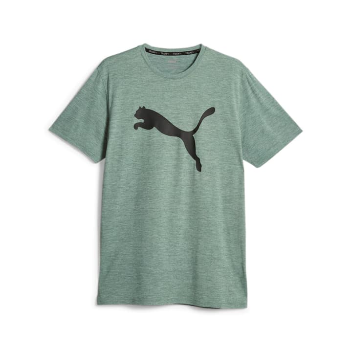 Image of Puma Train Favorite Heather Cat Tee Fitnessshirt khaki