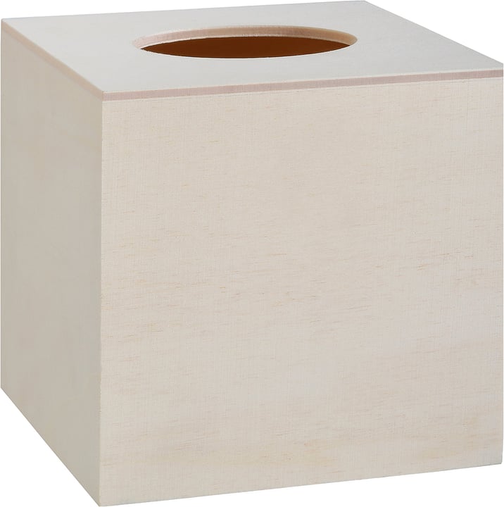 Legna Creativa Linsoft-Box Linsoft-Box Legna Creativa 664013200000 N. figura 1