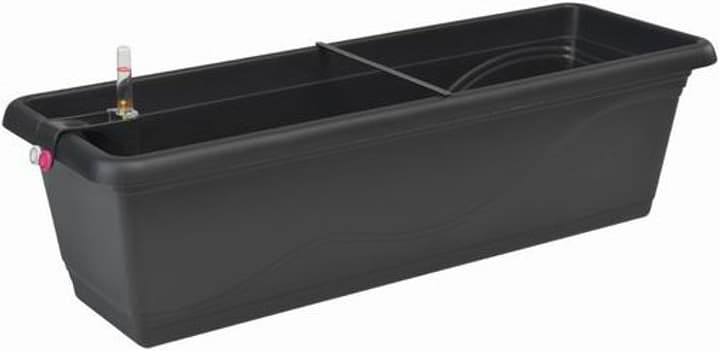 Plastkon Blumenkasten mit Bewässerungssystem kaufen bei Do it + Garden