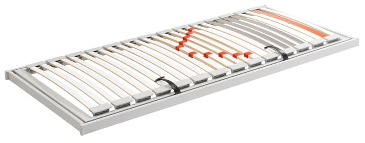 mydream by superba FLEX II Sidelift gauche Sommier FLEX II Sidelift gauche Sommier mydream by superba 403328790100 Largeur 90.0 cm Longueur 200.0 cm Photo no. 1