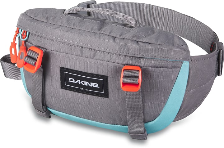 Image of Dakine Hot Laps 1 L Bauchtasche hellgrau bei Migros SportXX