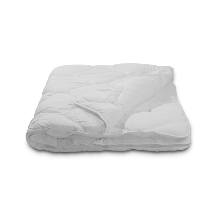 SIMPLE Kunstfaserduvet SIMPLE Kunstfaserduvet 376049800000 Grösse L: 210.0 cm x B: 160.0 cm Farbe Weiss Bild Nr. 1
