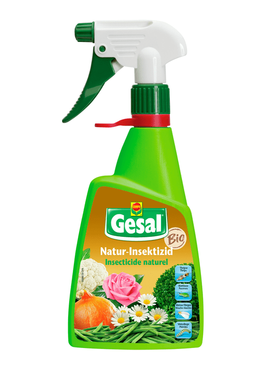 Image of Compo Gesal Natur-Insektizid RTD, 450 + 0.9 ml Insektizid bei Do it + Garden von Migros