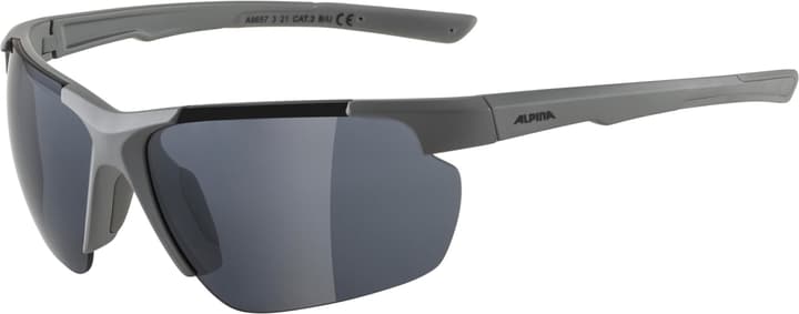 Image of Alpina Defey HR Sportbrille grau