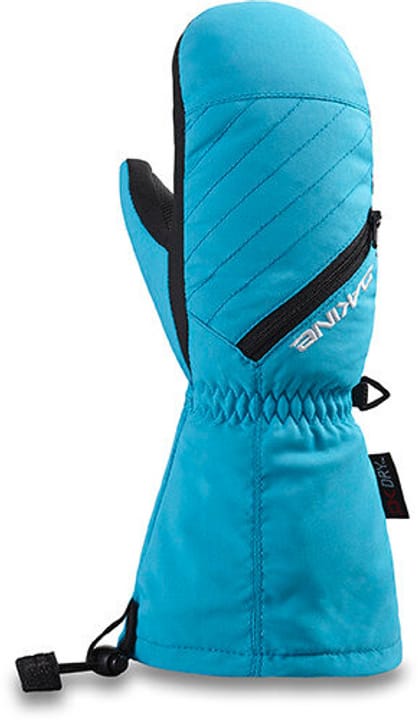 Image of Dakine Tracker Skihandschuhe türkis