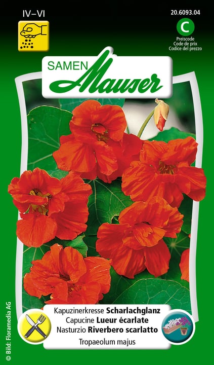 Image of Samen Mauser Kapuzinerkresse Scharlachglanz Blumensamen