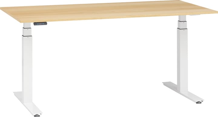 PROFI Pult PROFI Pult 401848100000 Grösse B: 160.0 cm x T: 80.0 cm x H: 67.0 cm Farbe Eiche hell Bild Nr. 1