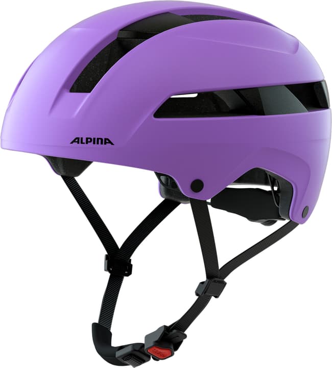 Image of Alpina Soho Velohelm lila