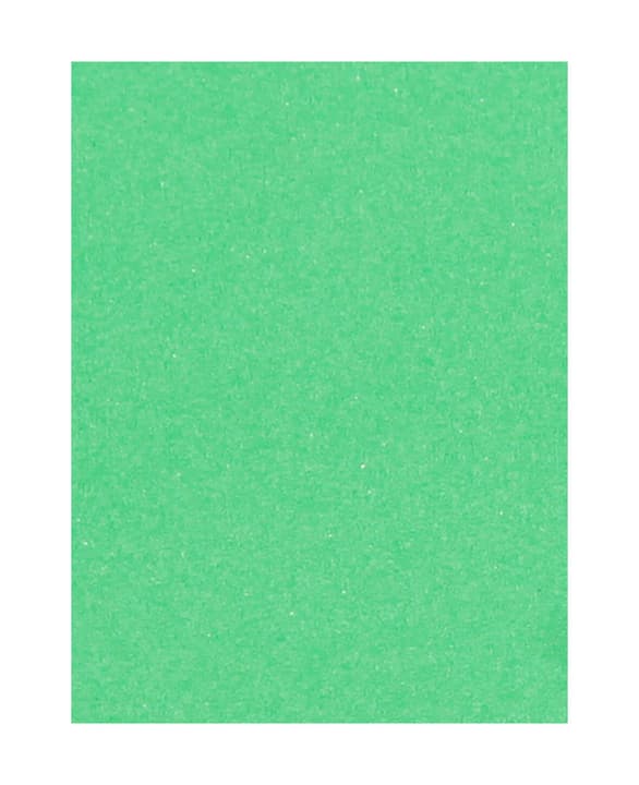 Image of Moosgummi 30 x 40 cm, hellgrün bei Do it + Garden von Migros