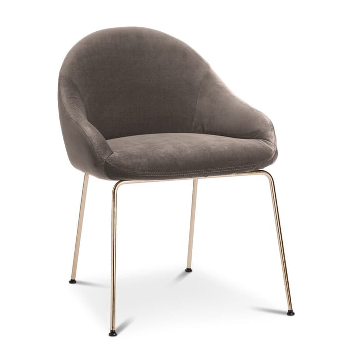 EARL Sedia EARL Sedia 366024292506 Dimensioni L: 58.0 cm x P: 65.0 cm x A: 76.0 cm Colore Grigio N. figura 1