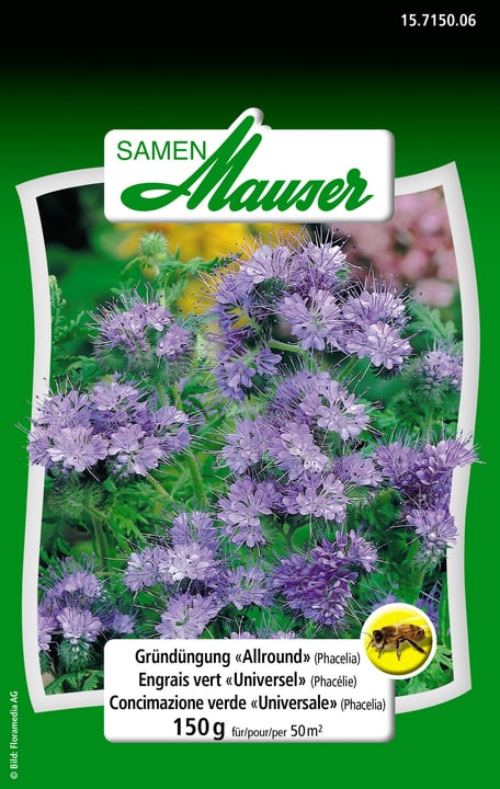 Image of Samen Mauser Gründüngung Allround 150 g Blumensamen bei Do it + Garden von Migros
