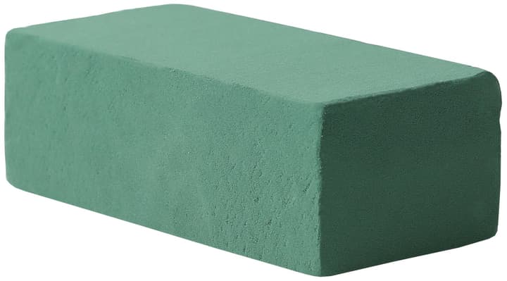 Image of I AM CREATIVE Frischziegel Steckschaum bei Do it + Garden von Migros