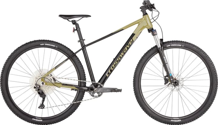 Image of Crosswave Rocky 29' Mountainbike Freizeit (Hardtail) khaki