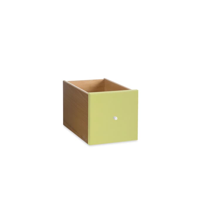 VIDO Schublade mini VIDO Schublade mini 362011275307 Grösse B: 18.0 cm x T: 18.0 cm x H: 33.0 cm Farbe Hellgrün Bild Nr. 1