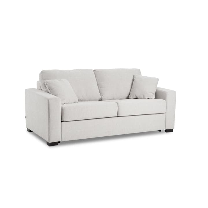 GEORGE Nancy Divano letto a 2 posti GEORGE Nancy Divano letto a 2 posti 360207900000 Colore Grigio chiaro N. figura 1