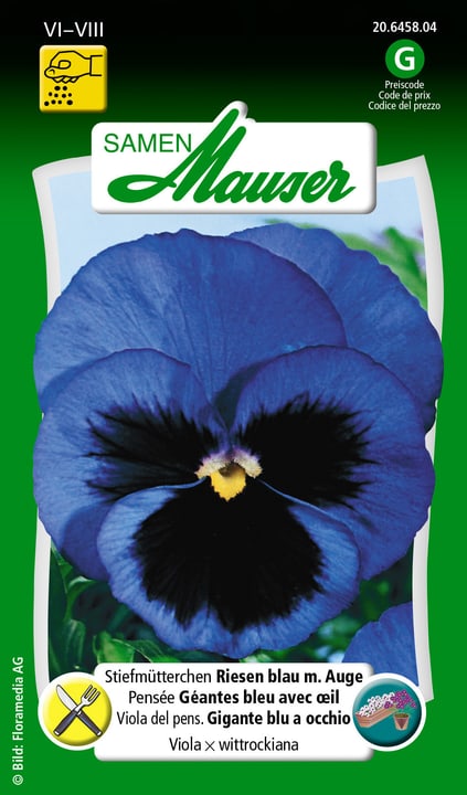 Image of Samen Mauser Stiefmütterchen Riesen blau m. Auge Blumensamen bei Do it + Garden von Migros