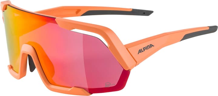 Image of Alpina Rocket Q-Lite Sportbrille rot