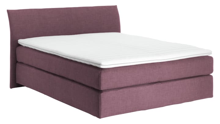 NAVIER Boxspringbett NAVIER Boxspringbett 403482900000 Farbe Rosa Grösse B: 160.0 cm x T: 200.0 cm Bild Nr. 1