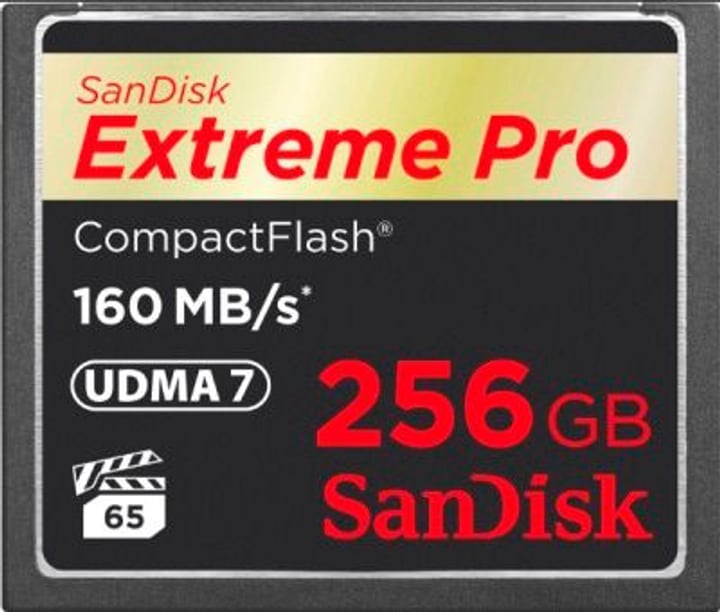 SanDisk ExtremePro 160MB/s Compact Flash 256GB ExtremePro 160MB/s Compact Flash 256GB SanDisk 785300124252 N. figura 1