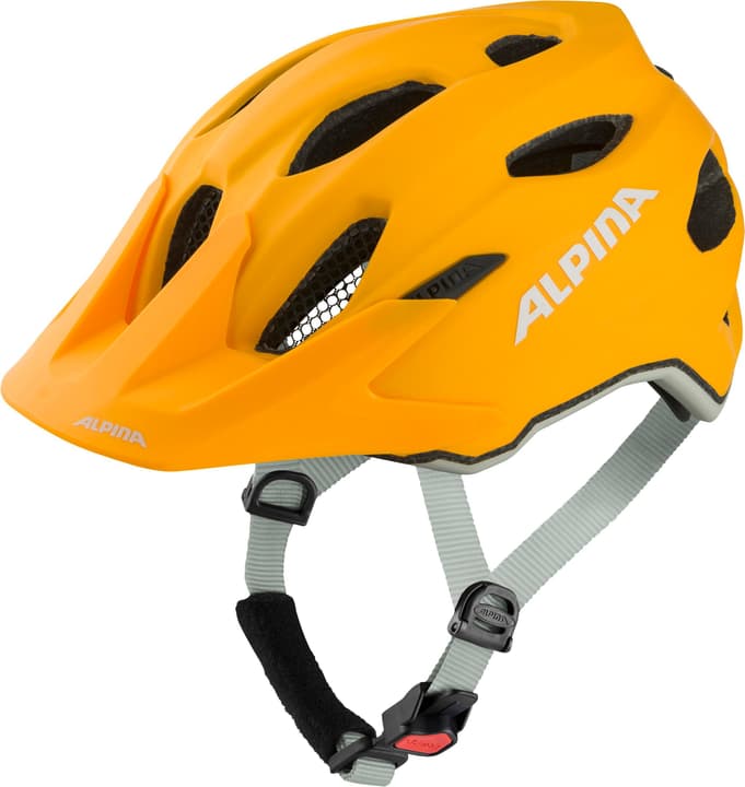 Image of Alpina Carapax JR. Velohelm orange