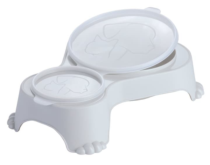 Image of Rotho Sally Duo Futternapf Tierbedarf bei Do it + Garden von Migros