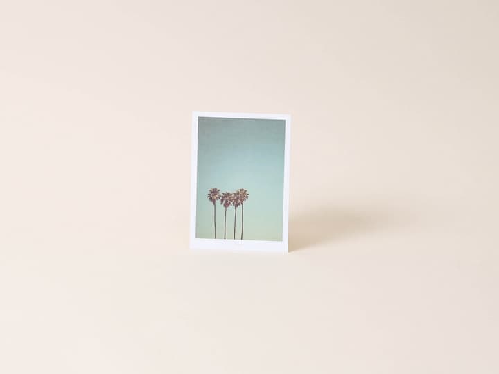 Image of Esmée Retro Palmen Postkarte bei Do it + Garden von Migros