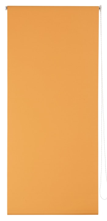 POLAR Store enrouleur POLAR Store enrouleur 430745504234 Couleur Orange Dimensions L: 42.0 cm x H: 130.0 cm Photo no. 1