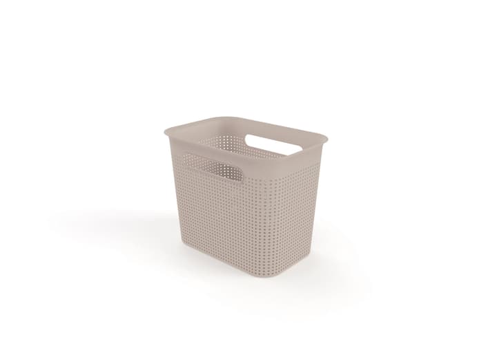 Image of Rotho Box schmal 7 l Brisen cappuccino bei Do it + Garden von Migros