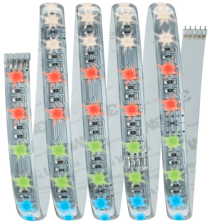 Image of Paulmann MaxLED Basisset 1,5 m, RGBW Light-Strip