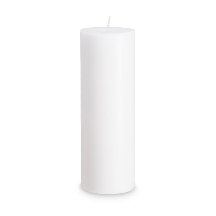 GREEN Candela GREEN Candela 396035300000 Colore Bianco Dimensioni L: 7.0 cm x P: 7.0 cm x A: 20.0 cm N. figura 1