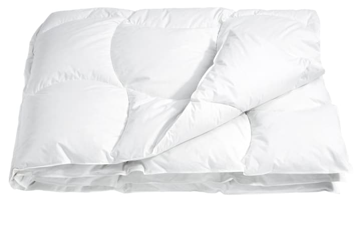 DELUXE STANDARD Couette DELUXE STANDARD Couette 451738512710 Couleur Blanc Dimensions L: 240.0 cm x P: 240.0 cm Photo no. 1