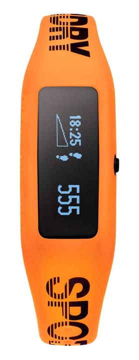 Superdry Fitness SYG202O Armbanduhr Fitness SYG202O Armbanduhr Superdry 76072530000017 Bild Nr. 1