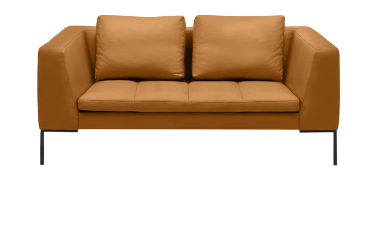 BADER Canapé 2 places BADER Canapé 2 places 405686120355 Dimensions L: 174.0 cm x P: 105.0 cm x H: 80.0 cm Couleur Cognac Photo no. 1