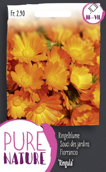 Image of Calendula officinalis'Ringula'einfach 3g Blumensamen bei Do it + Garden von Migros