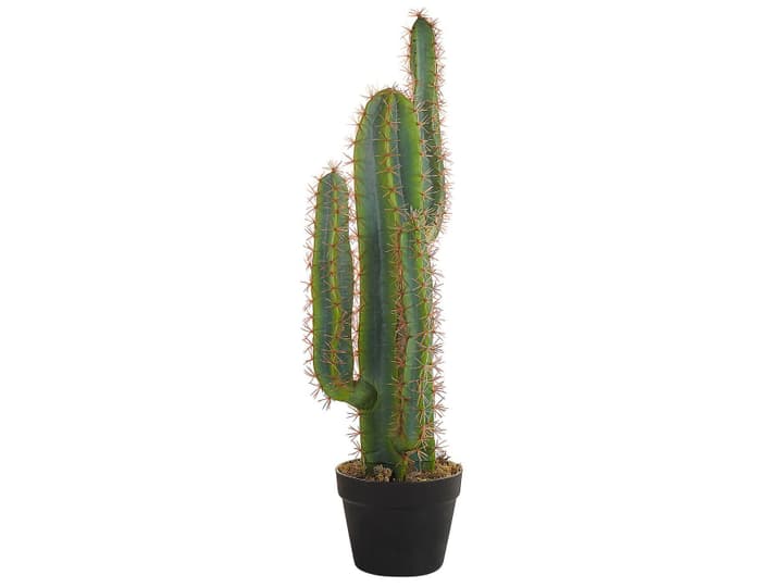 Image of Beliani Cactus Kunstpflanze