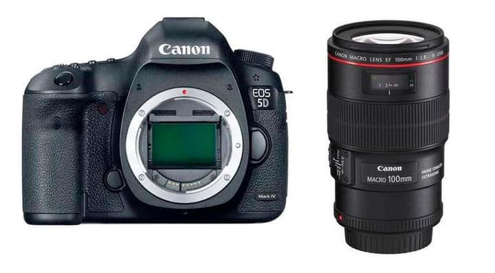 Canon EOS 5D Mark IV + EF 100mm Makro Kit appareil photo reflex EOS 5D Mark IV + EF 100mm Makro Kit appareil photo reflex Canon 785300126135 Photo no. 1