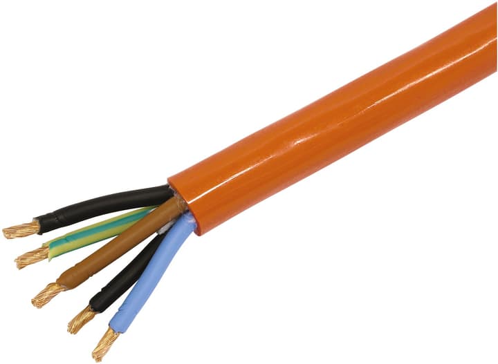 Image of Steffen ROFLEX Kabel 5 x 6 mm² R-PUR