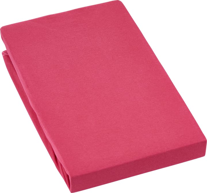 EVAN Stretch Jersey-Fixleintuch EVAN Stretch Jersey-Fixleintuch 451053930530 Farbe Rot Grösse B: 180.0 cm x H: 200.0 cm Bild Nr. 1