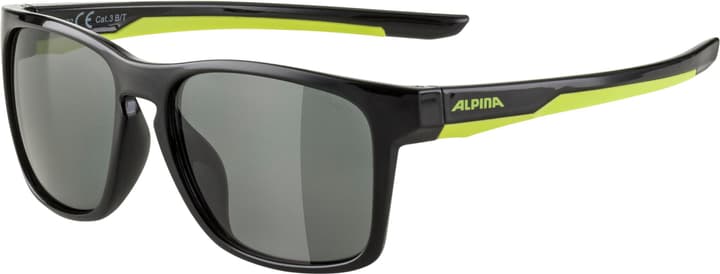 Image of Alpina Flexxy Cool Kids I Sportbrille anthrazit