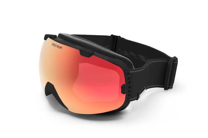 Image of Spektrum G002 Basic Skibrille / Snowboardbrille schwarz