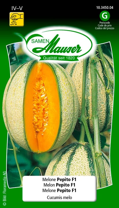 Image of Samen Mauser Melone Pepito F1 Gemüsesamen
