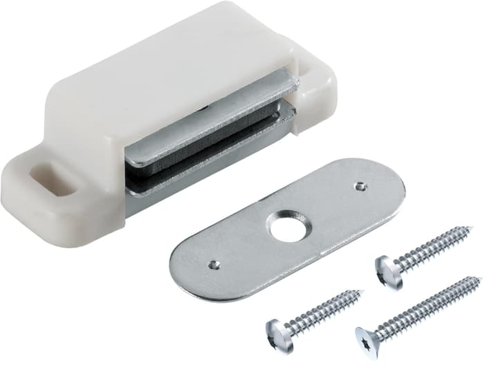 Image of Magnetschnäpper 4 kg Schnäpper bei Do it + Garden von Migros