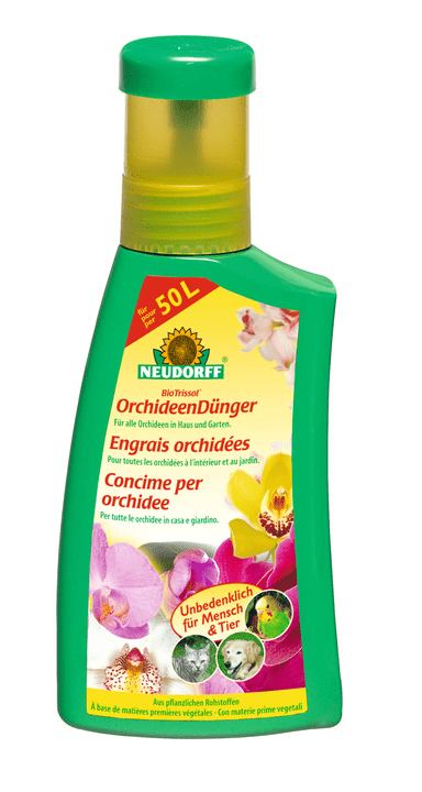 Neudorff ENGRAIS ORCHIDEES, 250 ml ENGRAIS ORCHIDEES, 250 ml Neudorff 658234500000 Photo no. 1