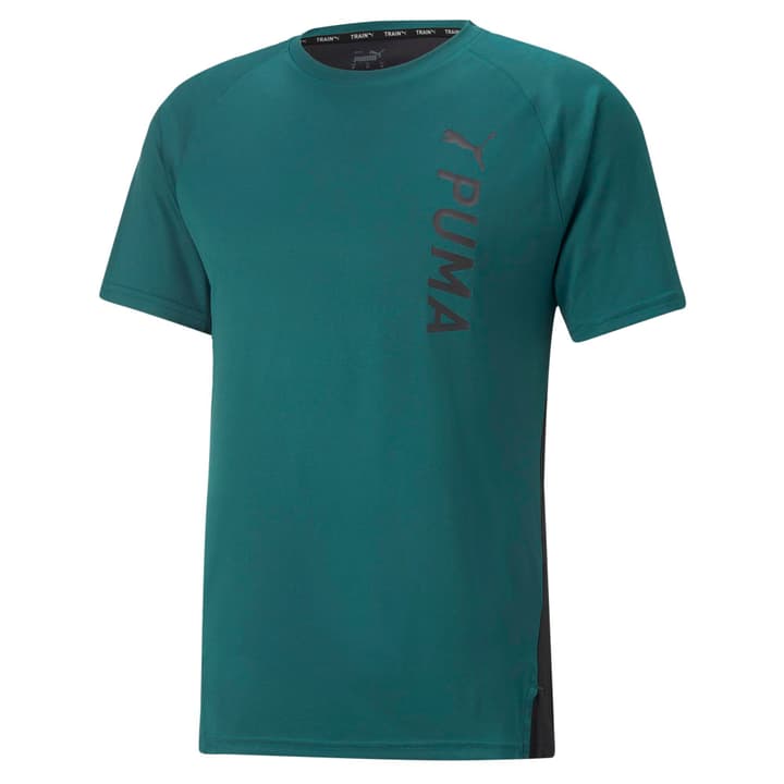 Image of Puma Fit Tee Fitnessshirt dunkelgrün bei Migros SportXX