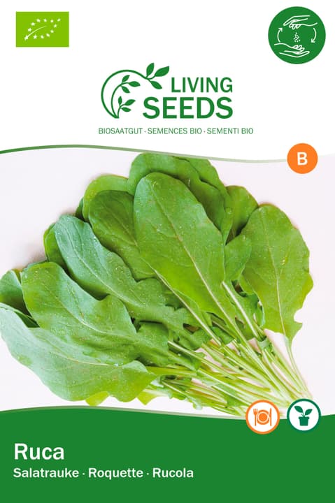 Image of Living Seeds Rucola, Esmee Gemüsesamen bei Do it + Garden von Migros
